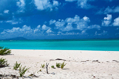 Our beach