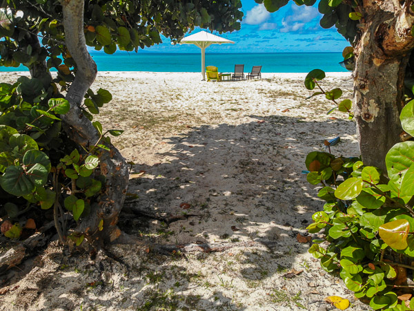 View of beach